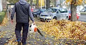 Taş ve Düzenleme