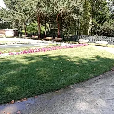 5fd67ba0c21e8.jpg